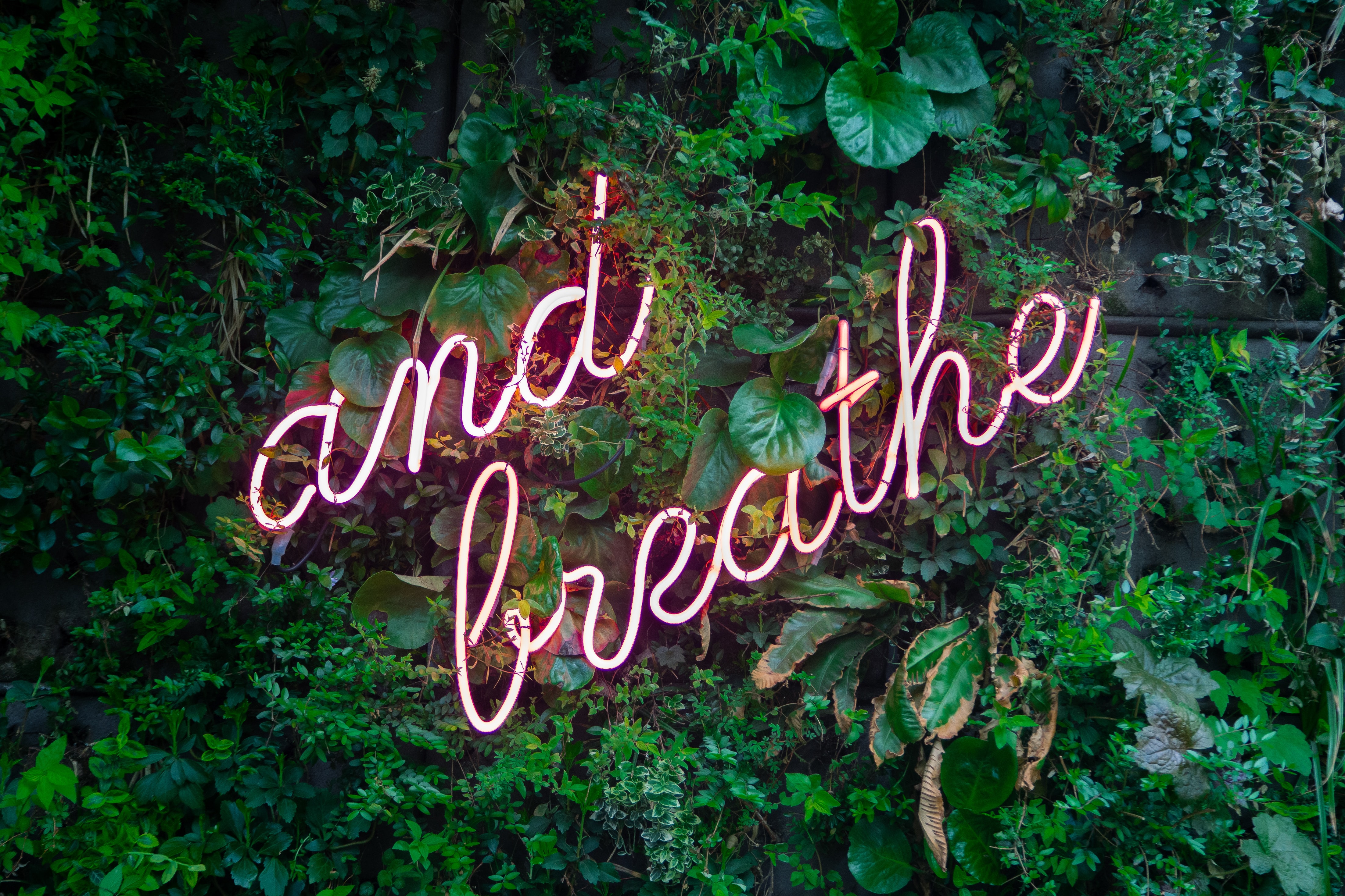 How to live healthier through Breathwork